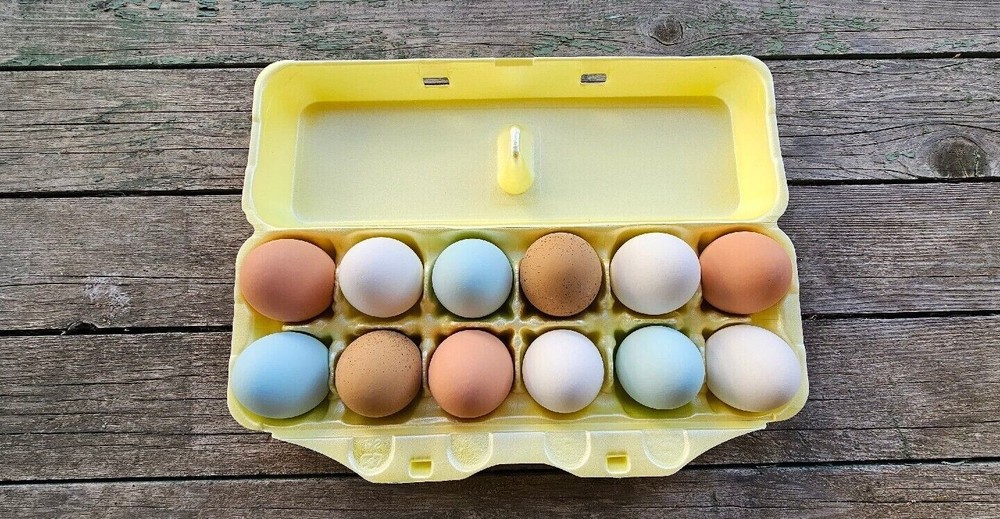 Styrofoam Bulk Egg Cartons (50 pack) Yellow