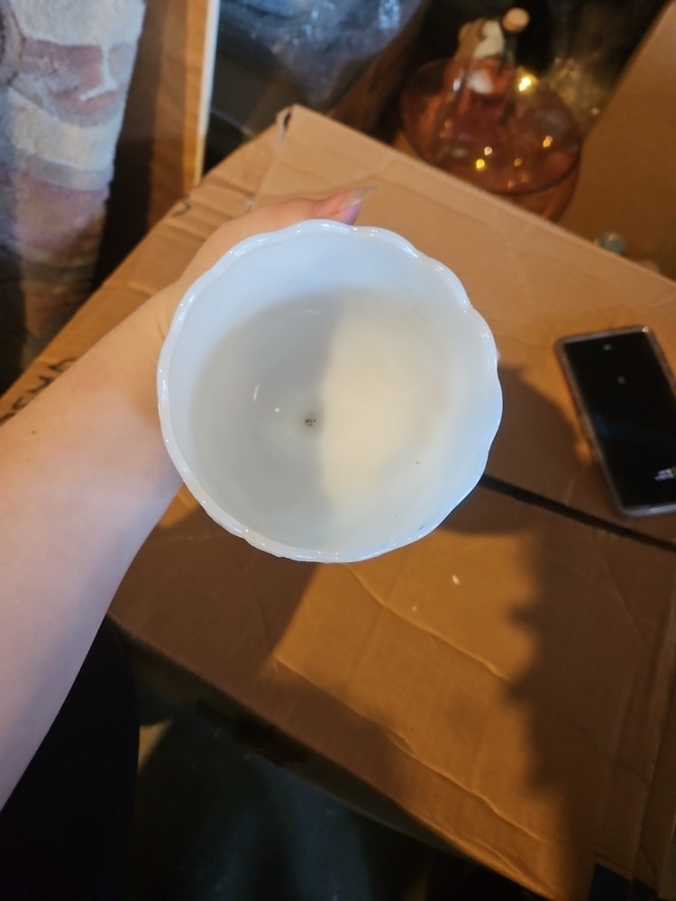 White Chalice