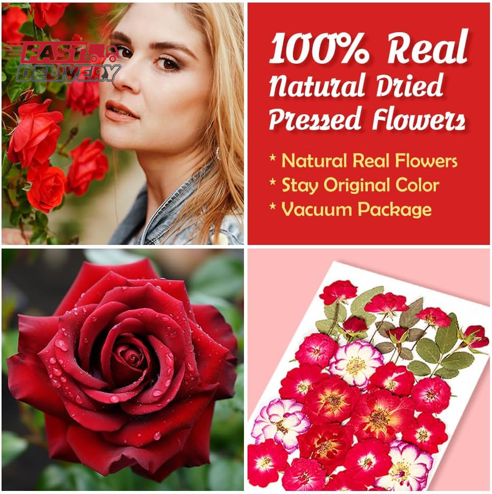 25Pcs Dried Pressed Rose for Resin Molds, Real Natural Rose Flowers Leaves Kit,