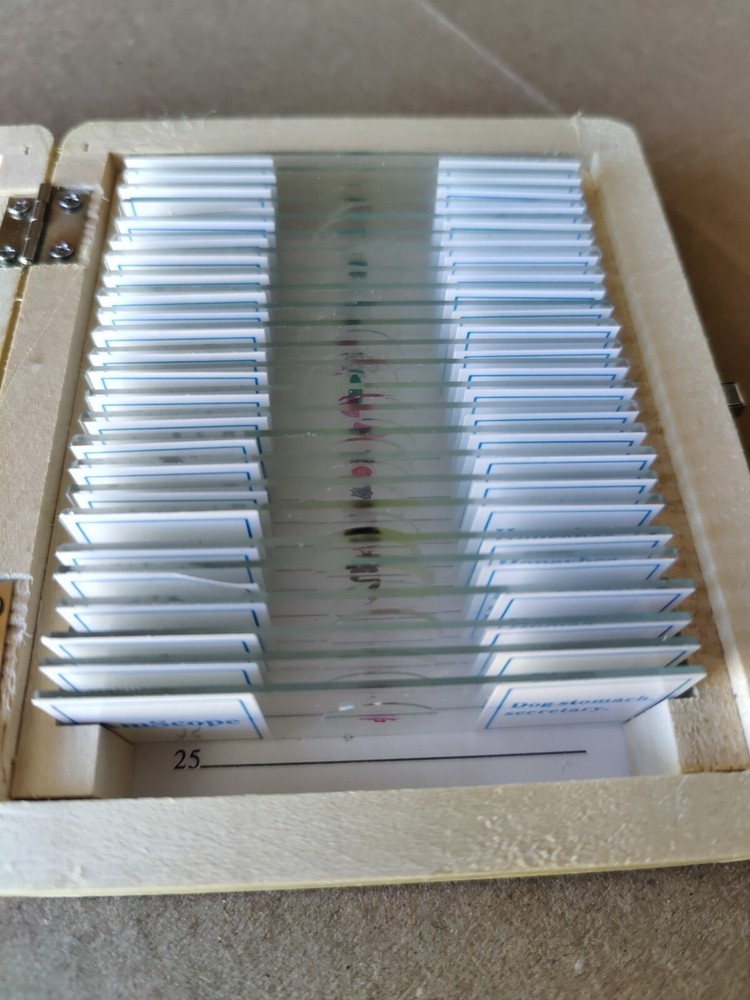 AmScope PS25W Prepared Slides