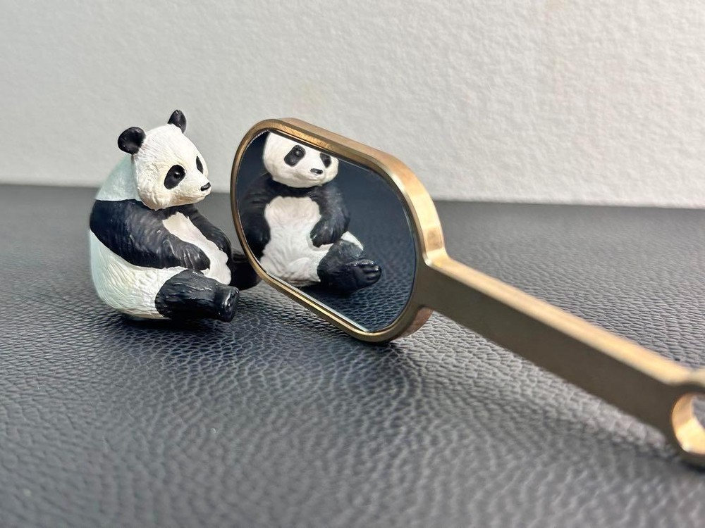 Tenyo magic tricksA636 paddle mirror