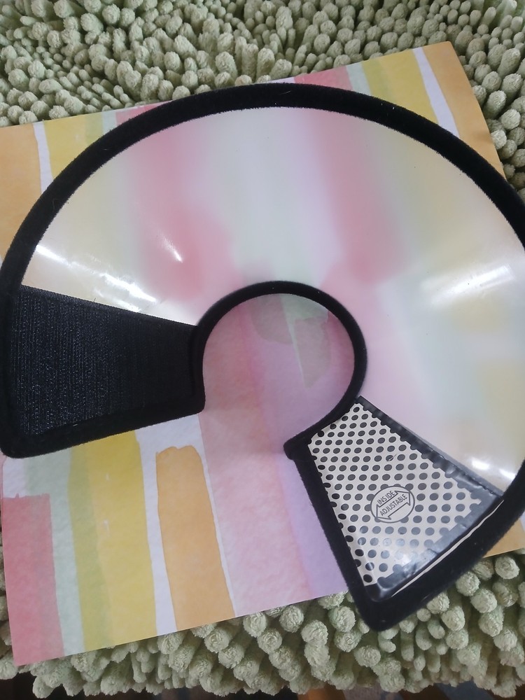 Adjustable Ecollar Cone