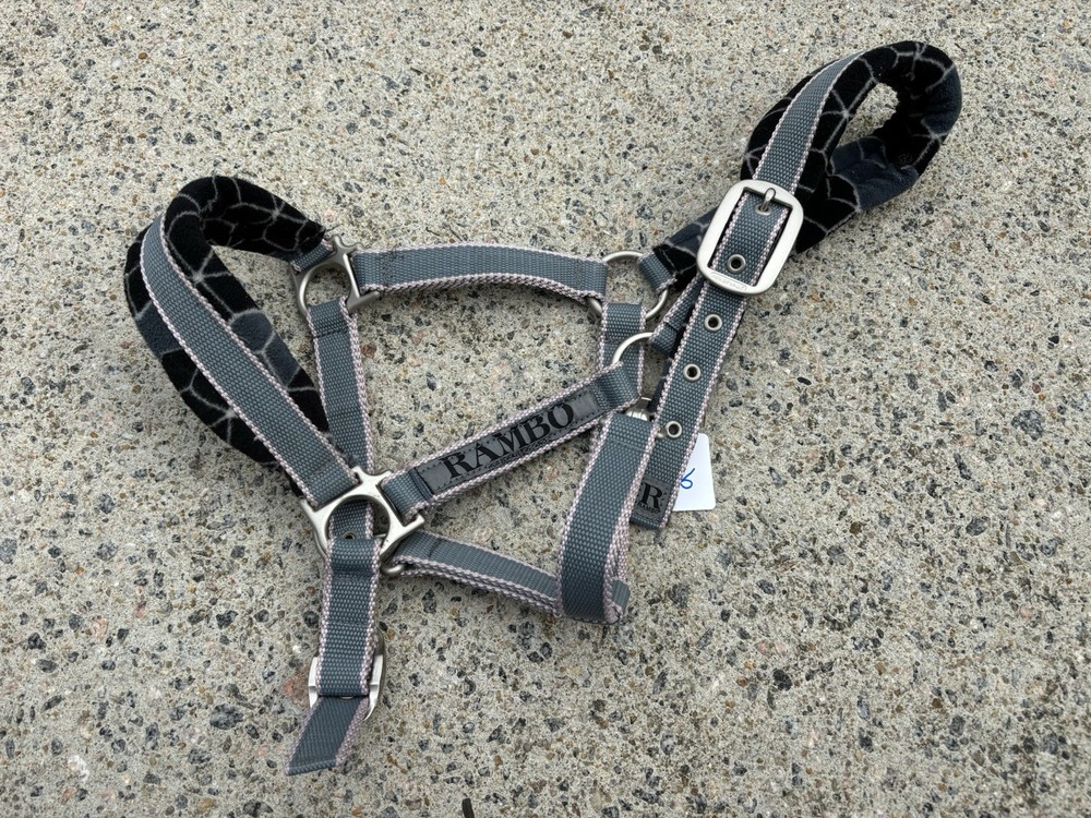 Padded Rambo Halter - Size Cob