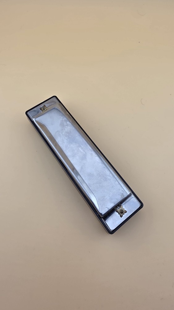 Mud Puddle Harmonica