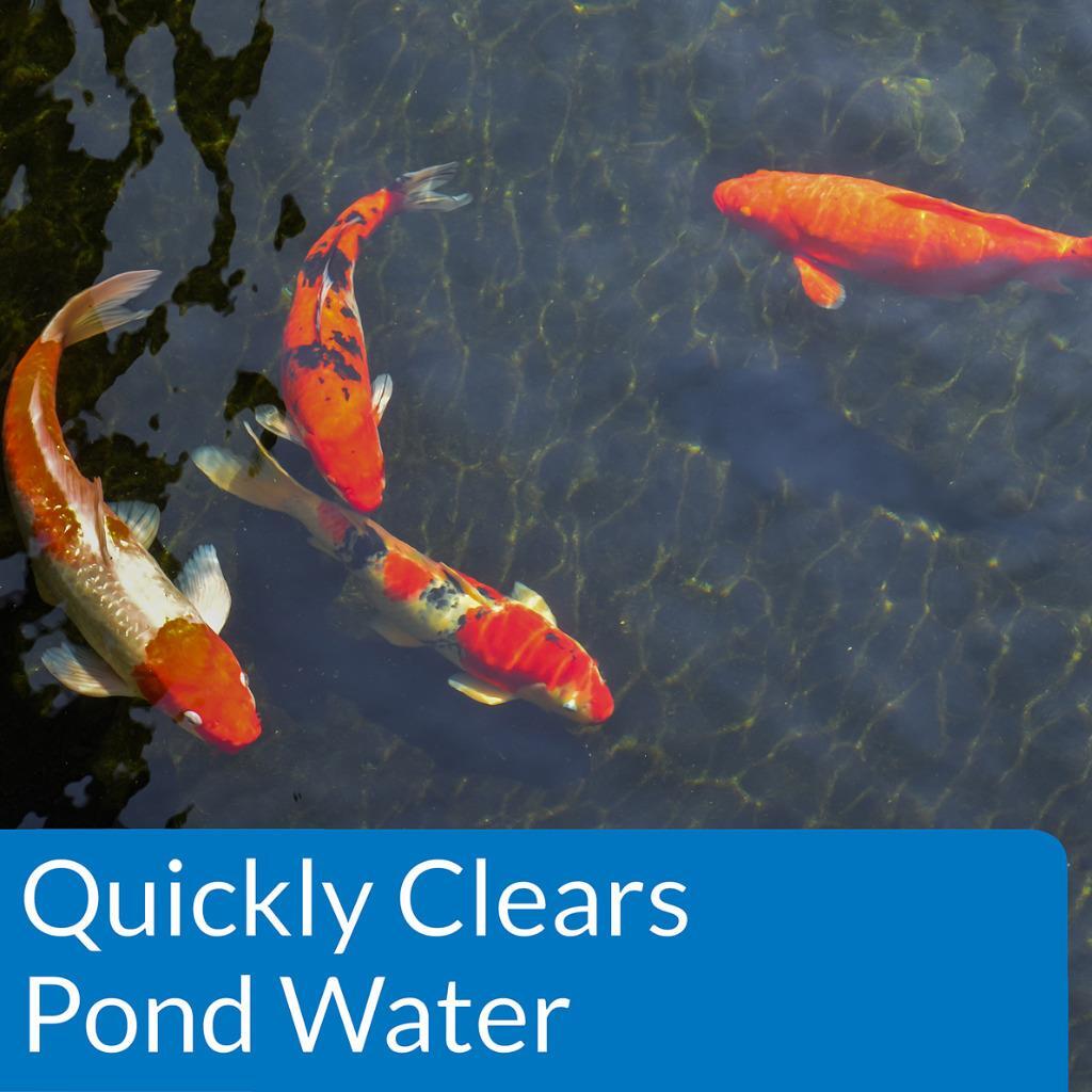 PondCare Accu-Clear Pond Clarifier 16oz treats 4800 US gal Fountains/Ponds/Aquar