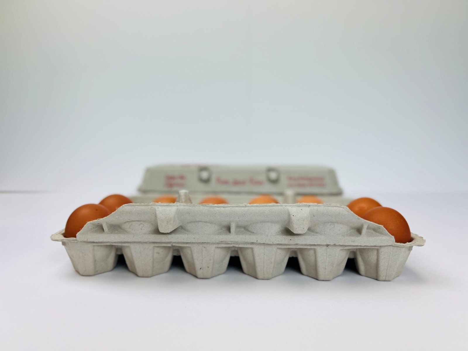Printed Egg Cartons (Barn) - 100 units