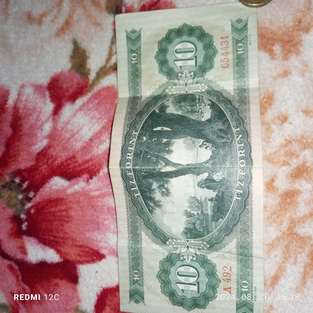 hungarian paper money