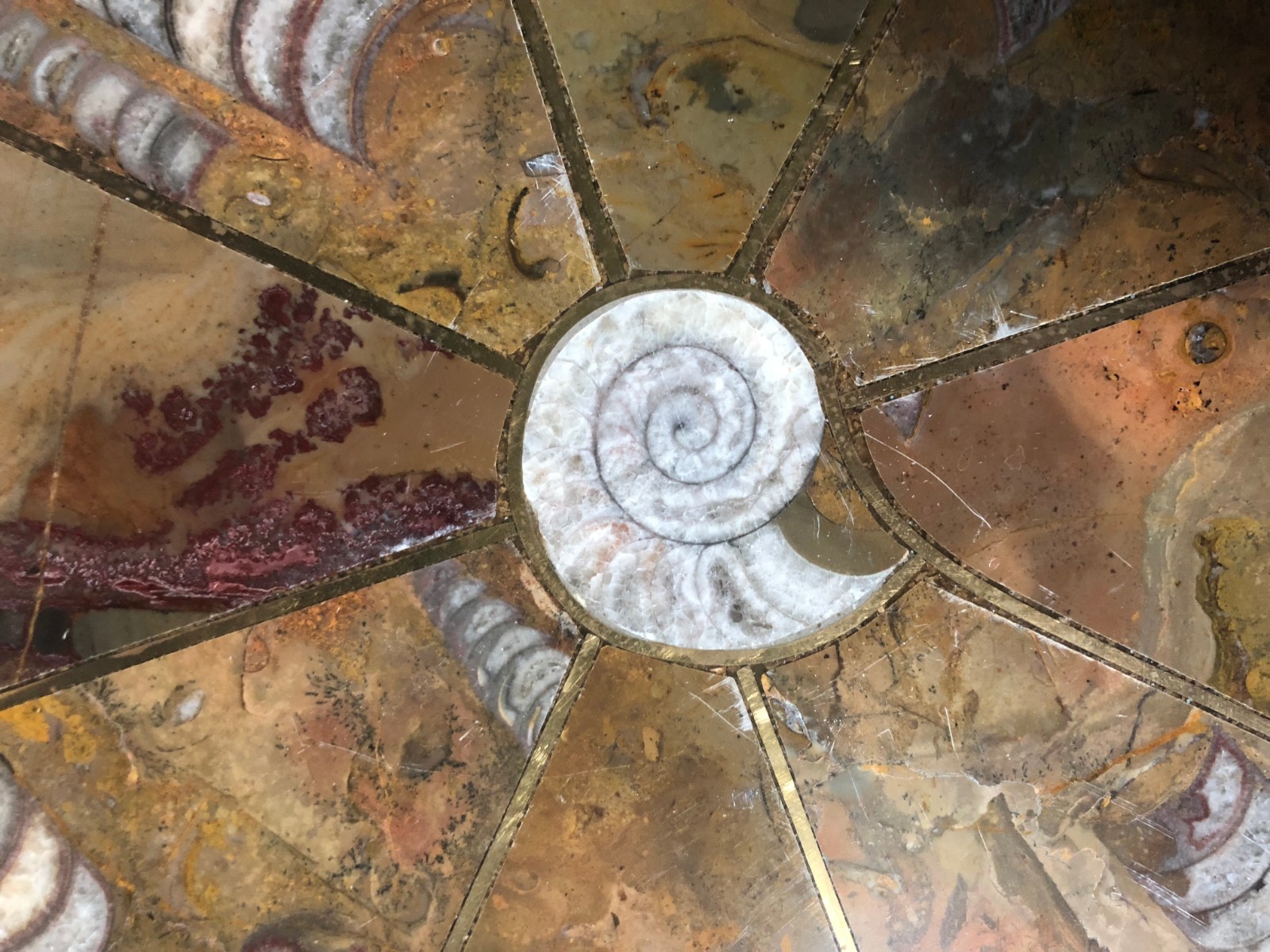 Ammonite Orthoceras Fossil Table Top Tabletop Nightstand 12-1/4" Inlay plate