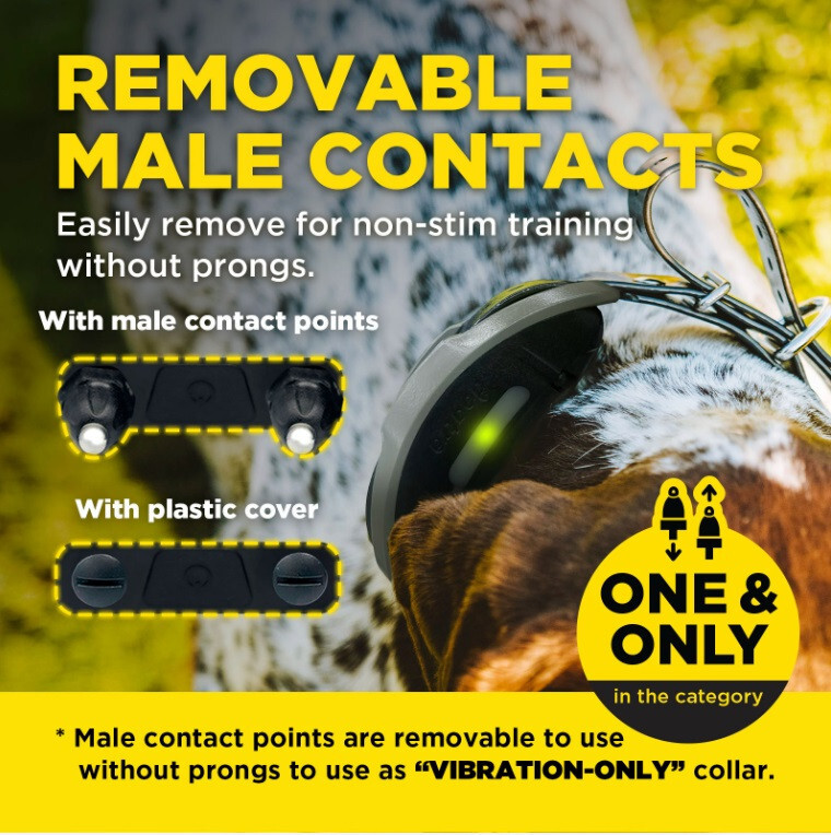 Dogtra 1900X HANDSFREE Dog Trainer Remote E-Collar 3/4 mi, Tone & XPP Vibration