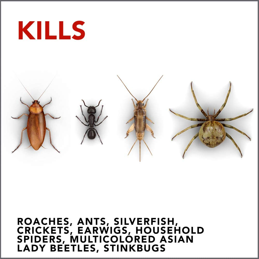 3 Cans Raid Ant & Roach Killer Spray Keeps Killing for Weeks Lavender Scent