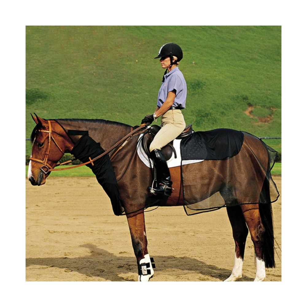 Cashel Quiet Ride Horse Bug Armor Bundle Set