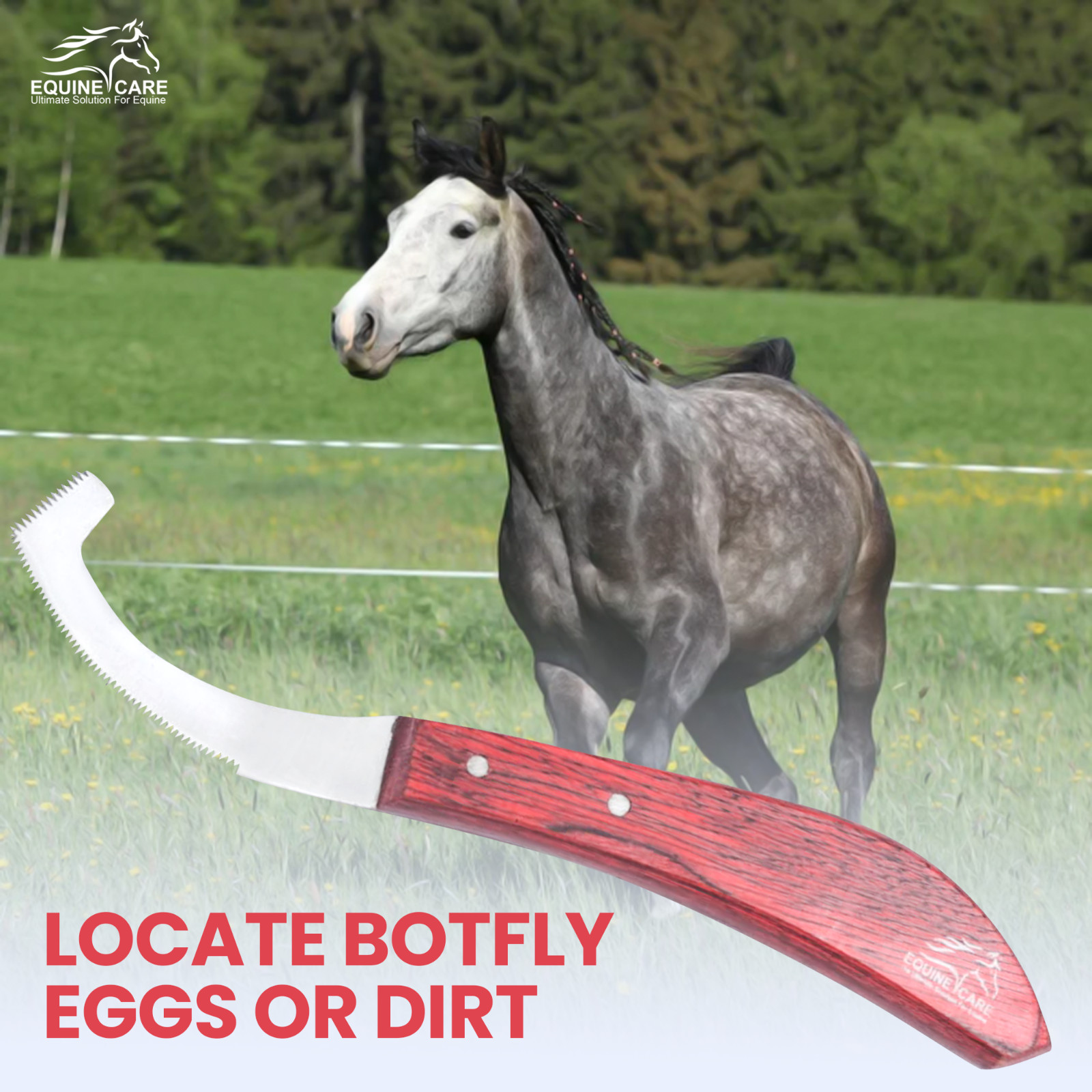 Bot Egg Knife for Horses Precision Grooming Tool for Bot Egg Removal