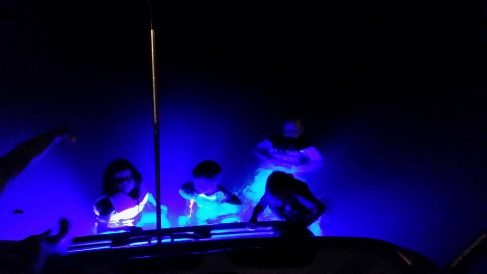 BLUE BTS BOAT DRAIN PLUG LIGHT MADE IN THE USA! - THE BRIGHTEST THAT EXIST!