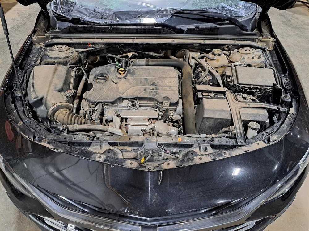 2019 Malibu Jack Sku#4275468