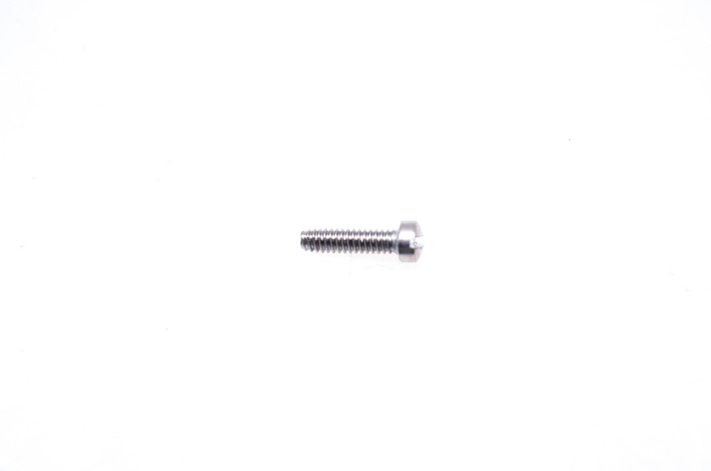 OMC 329054 Screw NOS
