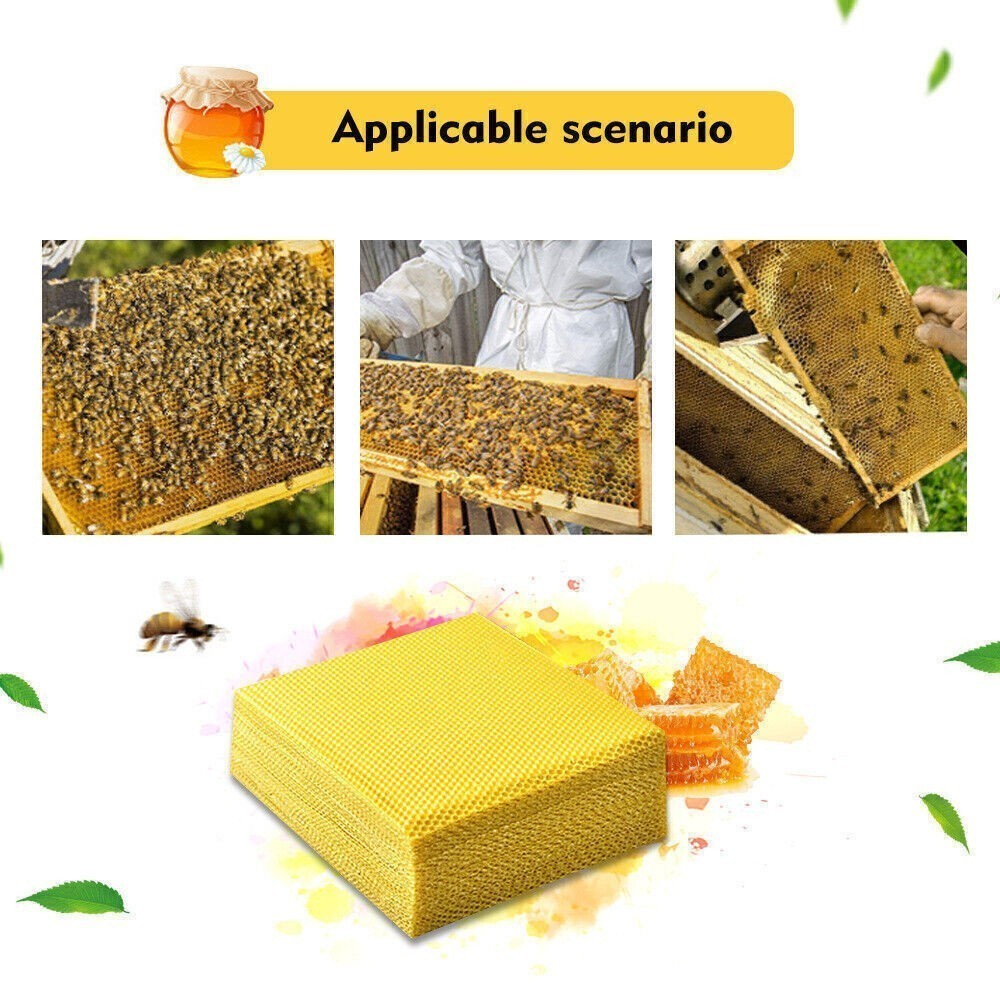 30PCS Beeswax Foundation Bee Hive Wax Frames Beekeeping Honeycomb Sheet Yellow