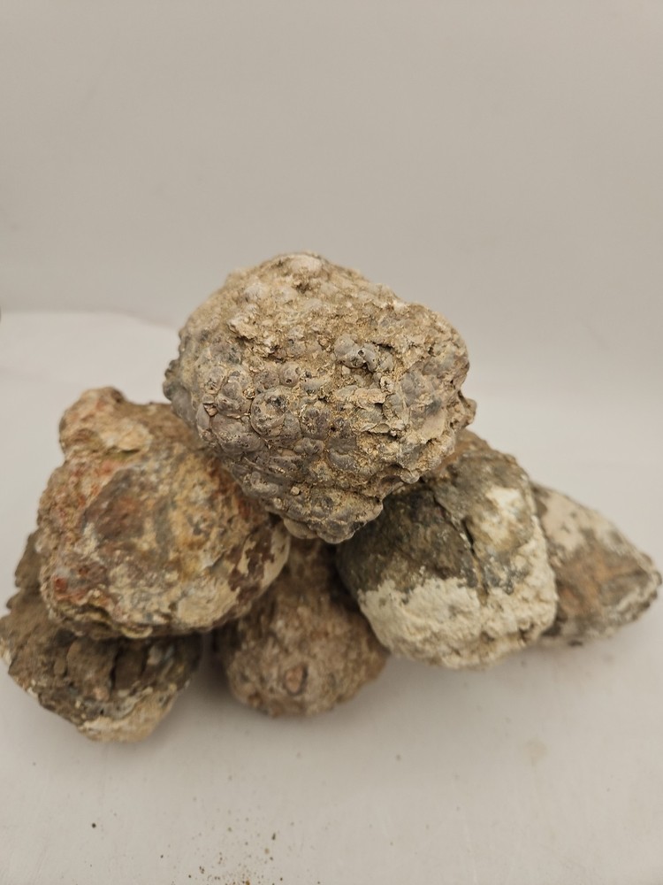 Unopened Geodes/Agates/Nodules Natural Semi Solid app. 1lb, 3" Please Read Notes