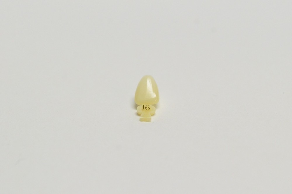 DENTAL POLYCARBONATE TEMPORARY CROWNS #16 (ULC) UPPER LEFT CENTRAL 5/PACK