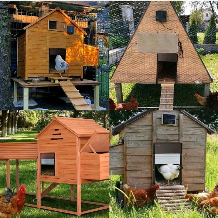 Automatic Chicken Coop Door Solar Powered Opener with Timer & Light Sensor NEW