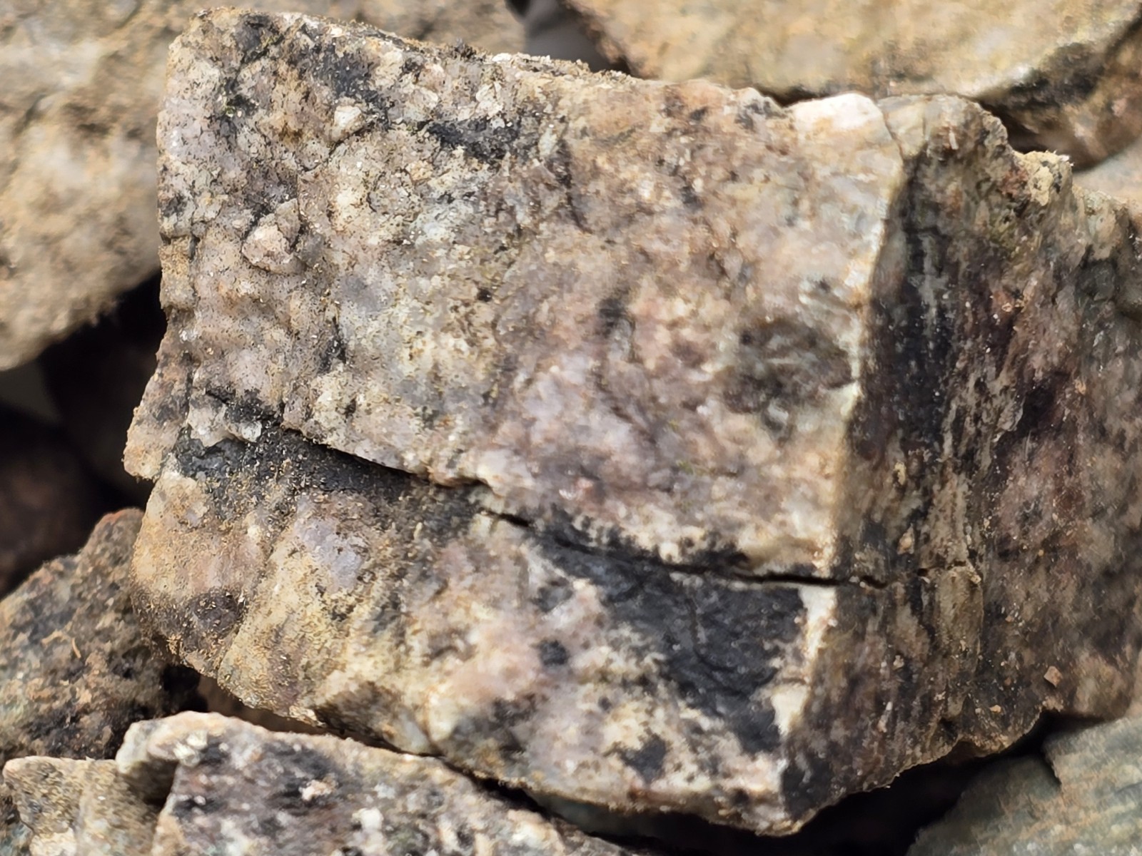 10+ lb Hard Rock Gold, Silver, Copper, Platinum, Ore from Nevada Mine Blind Grab