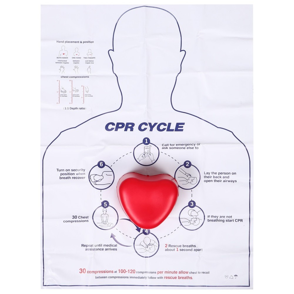 Cardiac Training Model Cpr Hands-only Practice Equipment Compression Kit