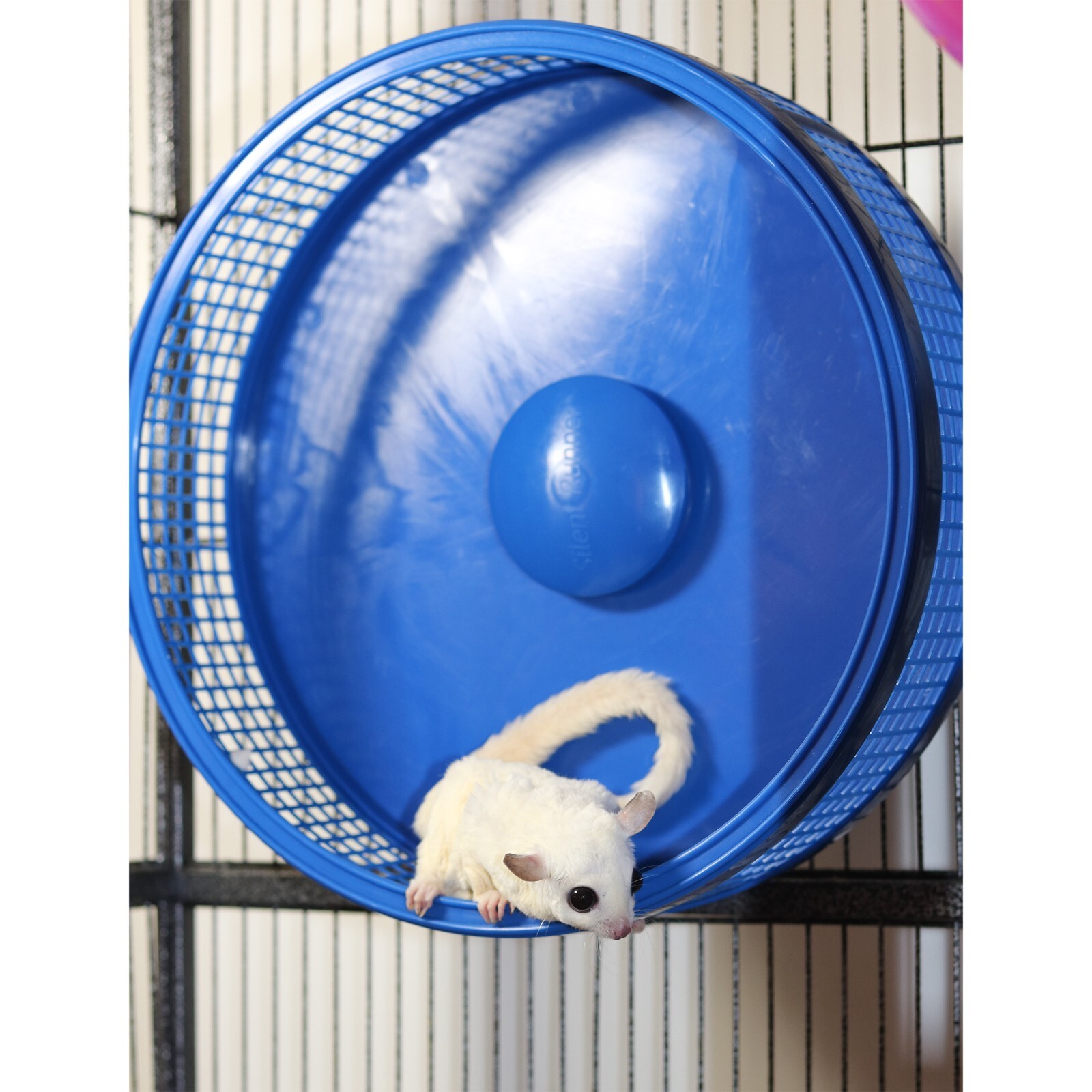 Silent Runner Pro Blue - Durable Pet Exercise Wheel with Cage Attachment