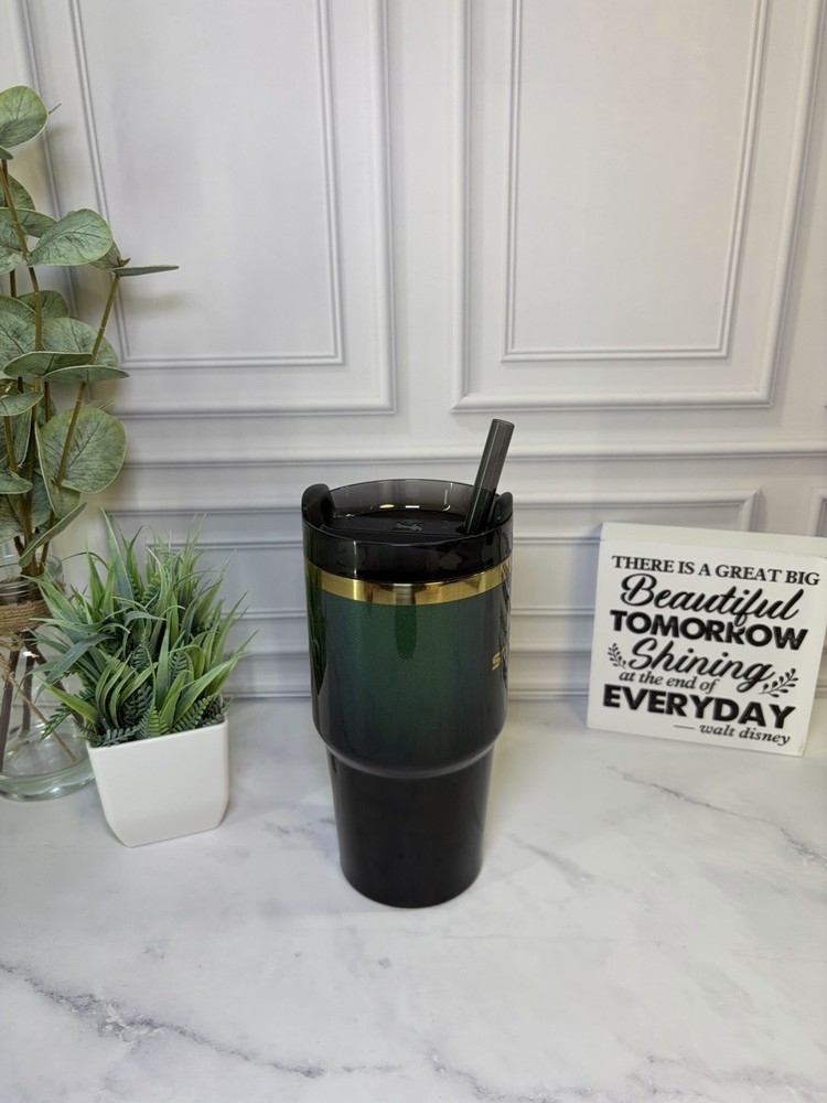 Stanley x Wicked Elphaba 20oz 2024 Edition EUC