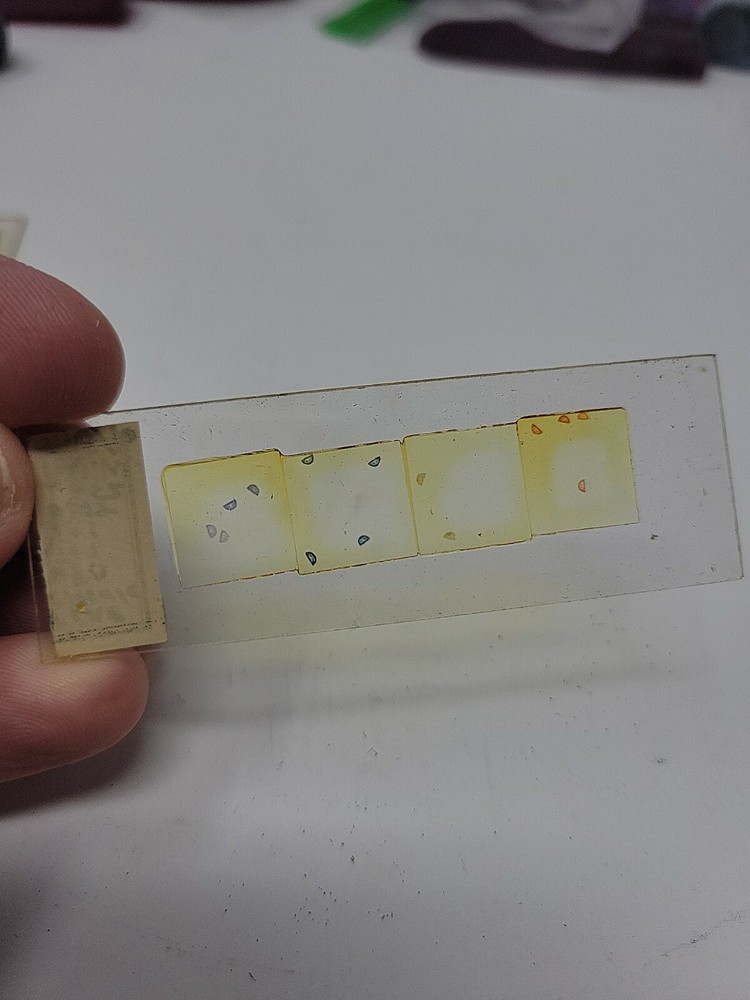 Vintage Microscope Slide 1940