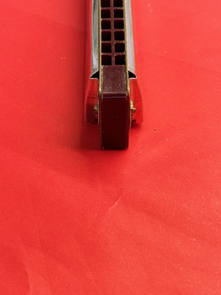 Delta Blues 32 hole Harmonica Plastic Edge