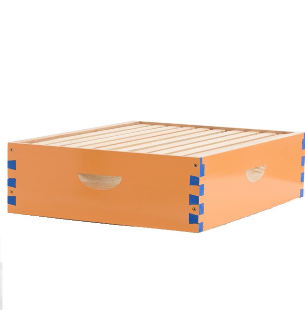 1 Layer Beehive Super Box Wax Langstroth Deep House + 10 Frames Beekeeping