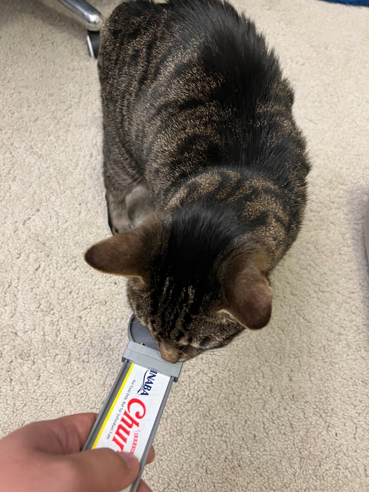 3D printed Cat strip squeeze spoon