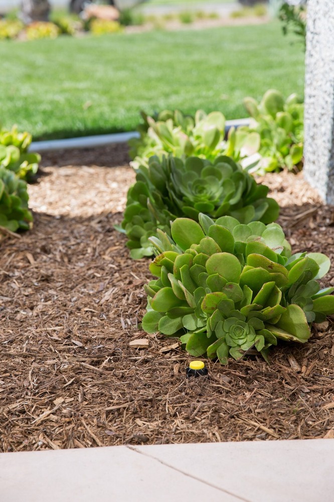 Hunter Eco-Indicator 6" Pop-Up Irrigation System Drip Operation Indicator Eco-ID