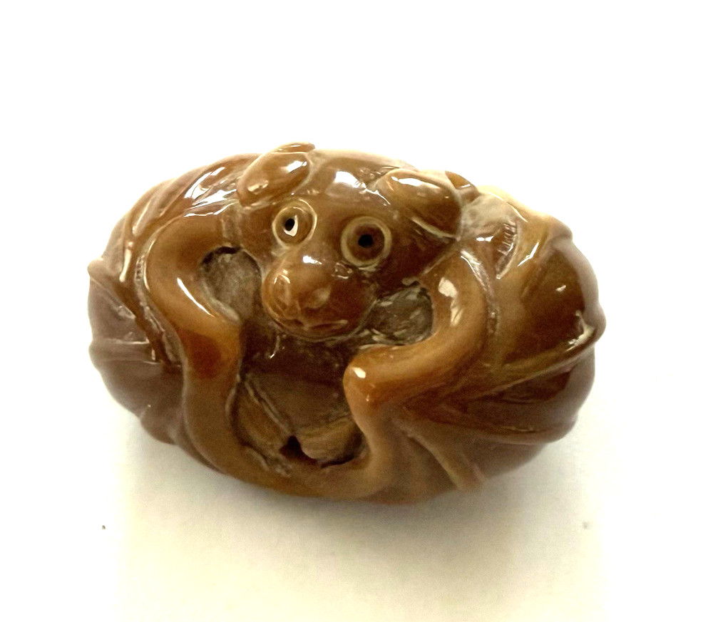 TAGUA Bead for Necklace - Monkey ??