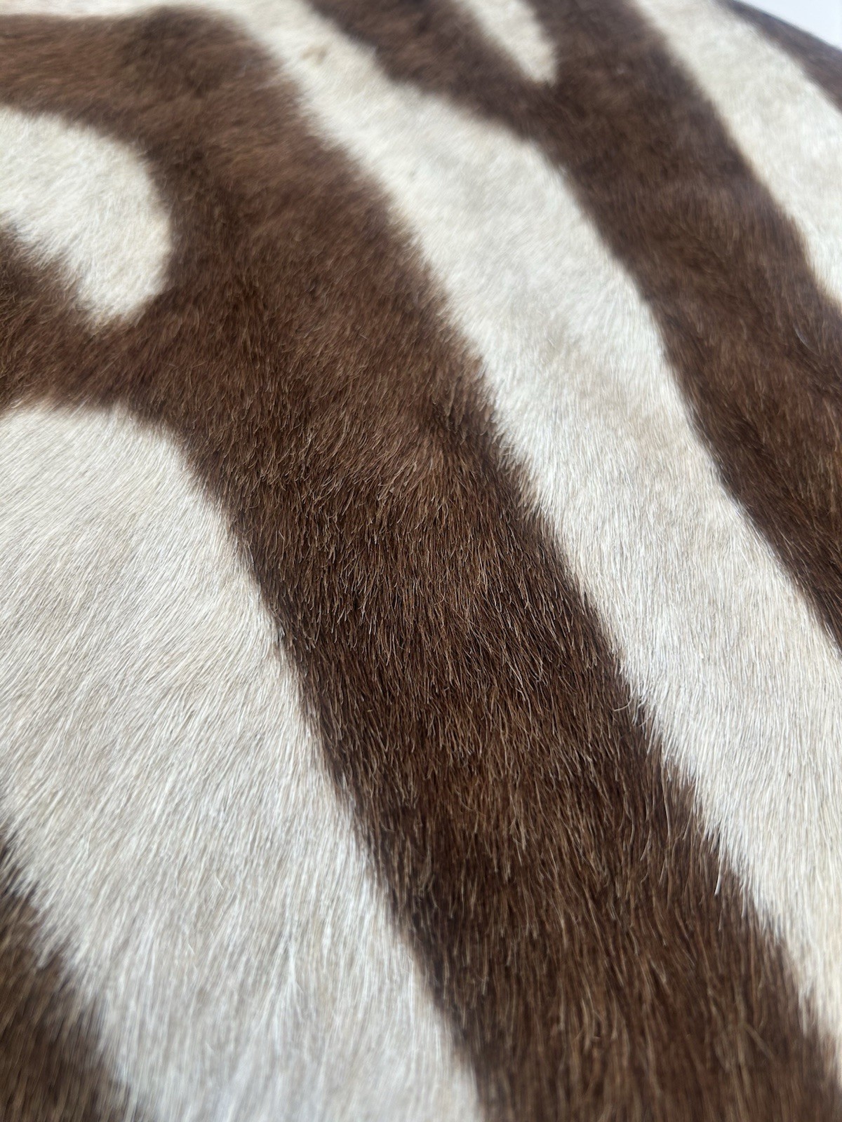 Pair of Vintage Authentic Zebra Hide Cushions - Safari African Animal Round 14”