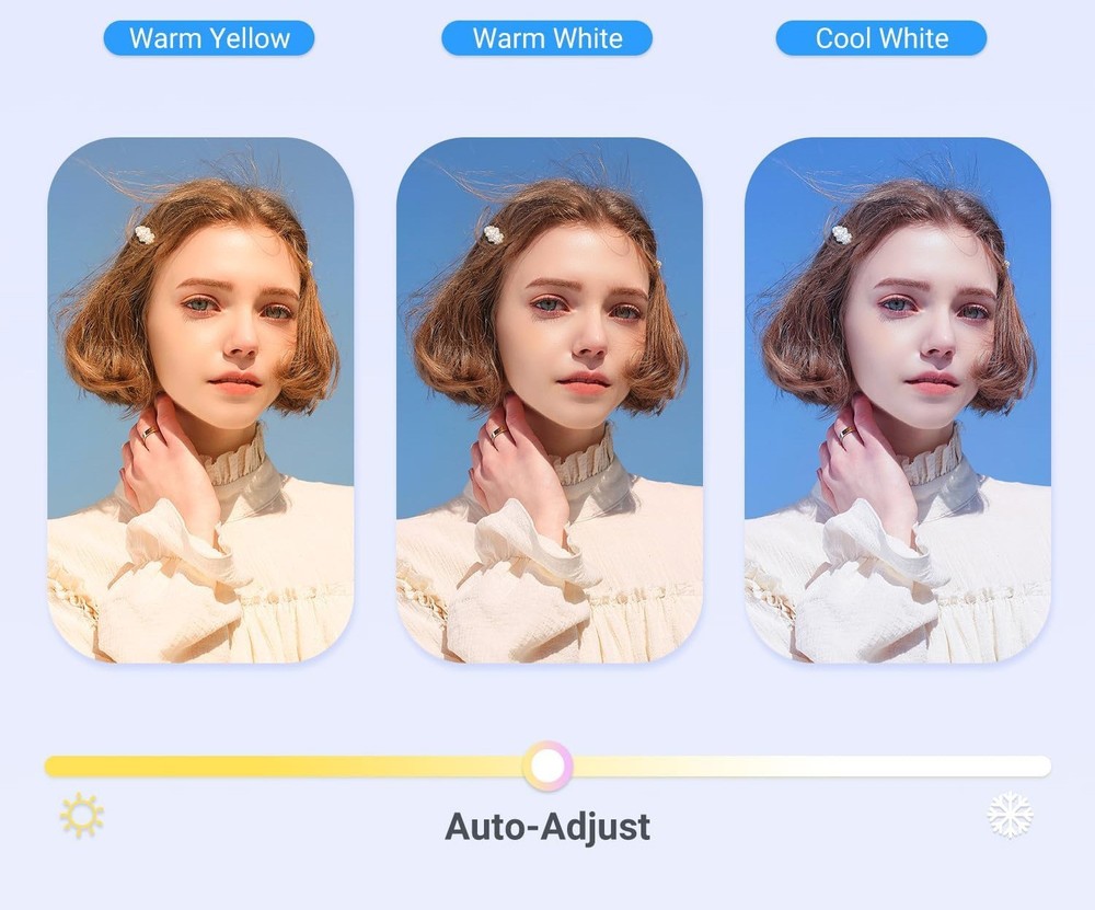 2K Webcam - PC - Video Calling & Conferences - Auto Focus/Light - Dual Mics