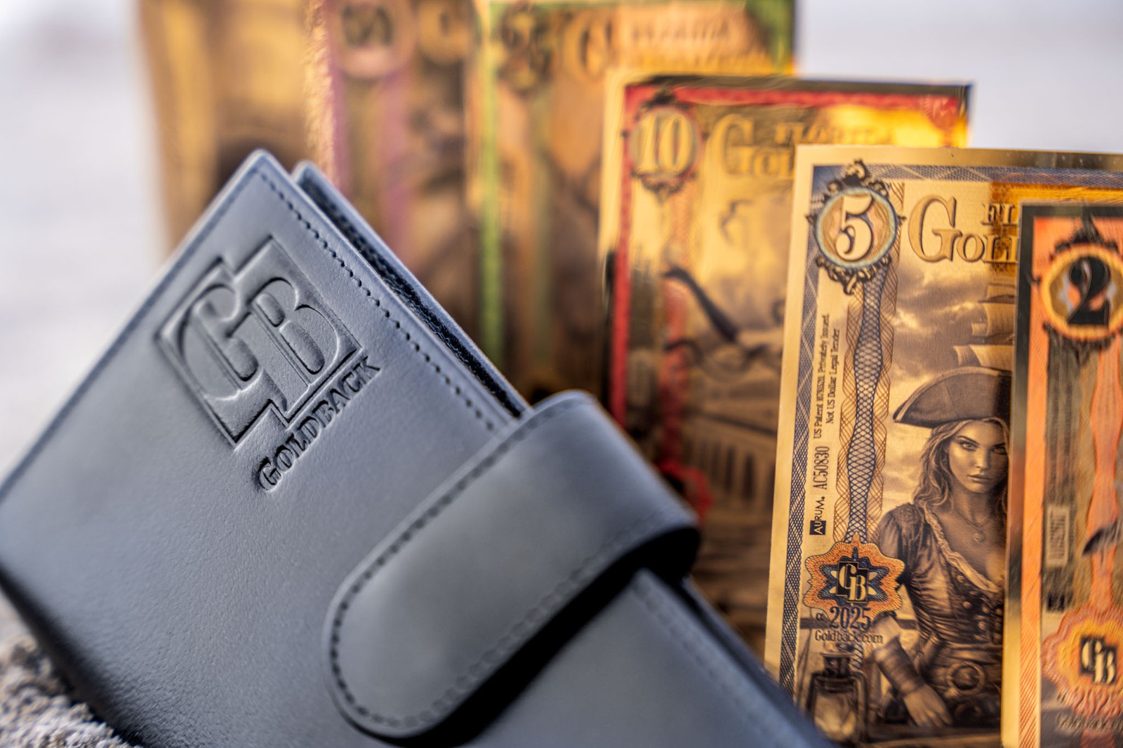 Goldback Outpost Wallet | Black (Fits all Goldback sizes 1/2 to 100)