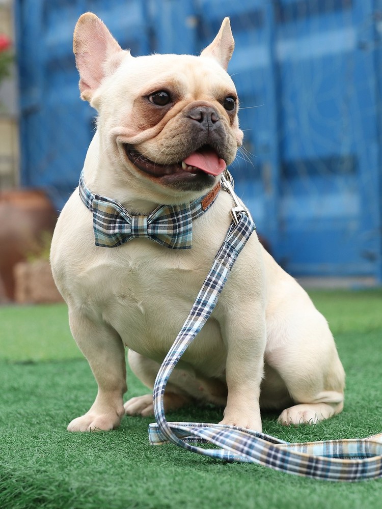 Dog Cat Collar Bowtie Grid Pattern Plastic Buckle Adjustable Small Medium Pet