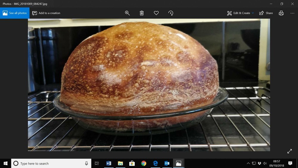 SOURDOUGH STARTERS ALASKAN