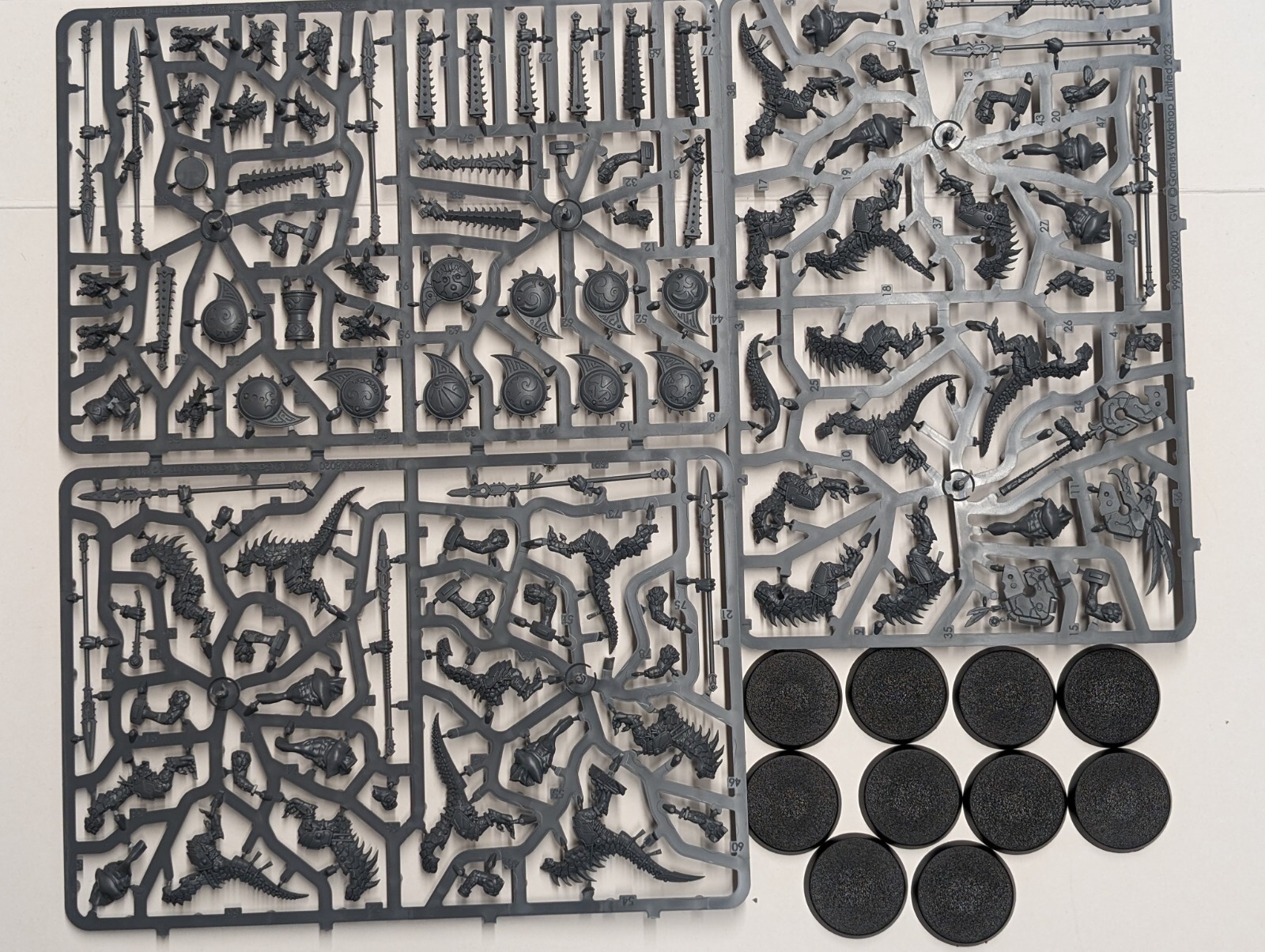 10x Saurus Warriors, Seraphon, New Sculpts, AOS, Warcry, GW