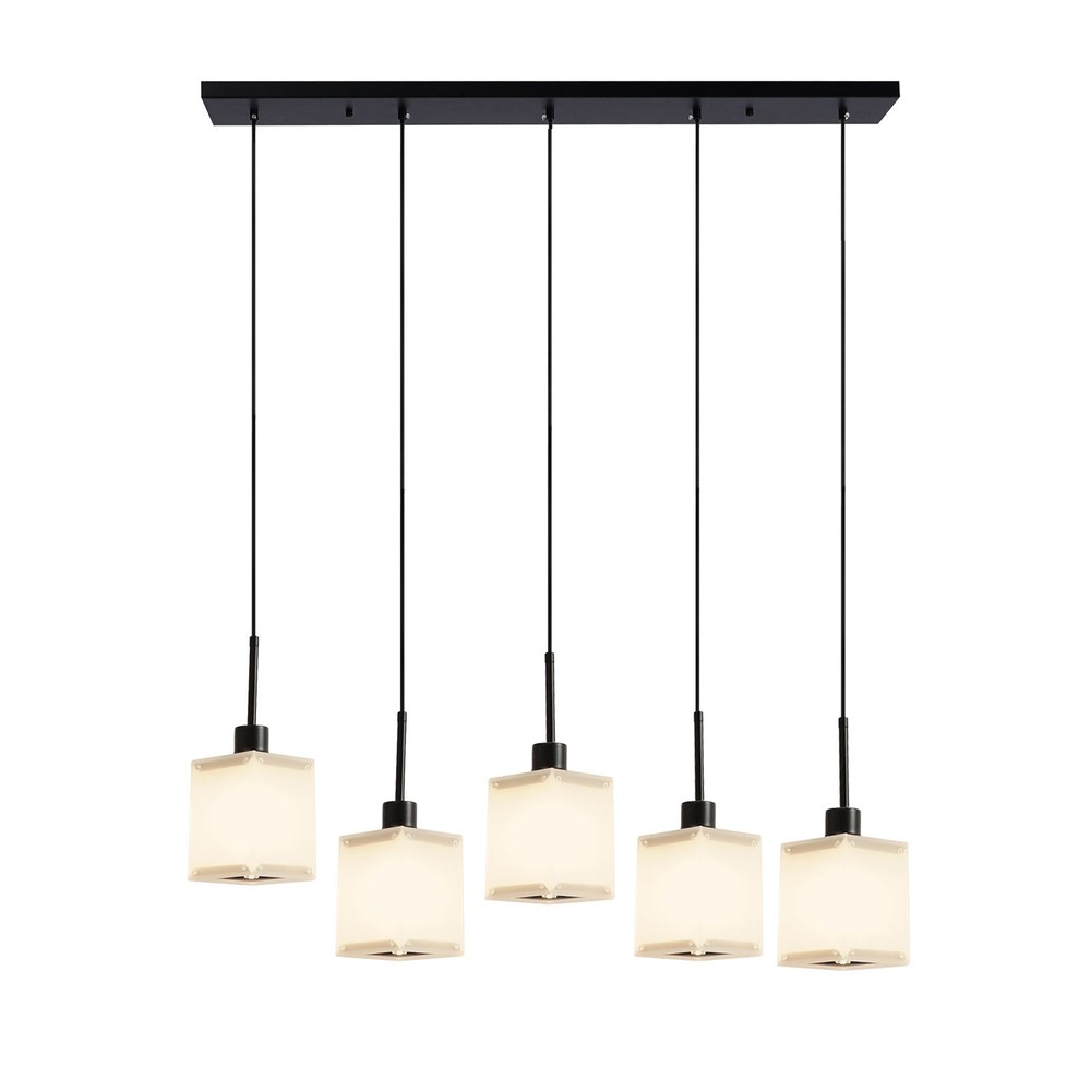 Modern 5-Light Ceiling Light Fixture Ceiling Mounted Light Indoor Ceiling Light.