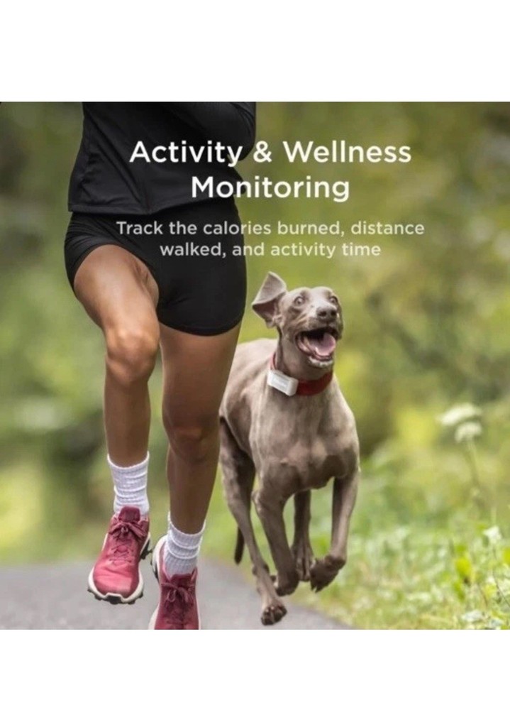 Petcube GPS Dog Tracker