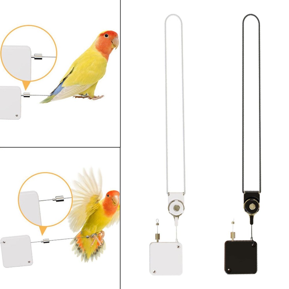 Bird Harness Leash Wrist Strap 210cm Flying Training Leash Anti Bite String