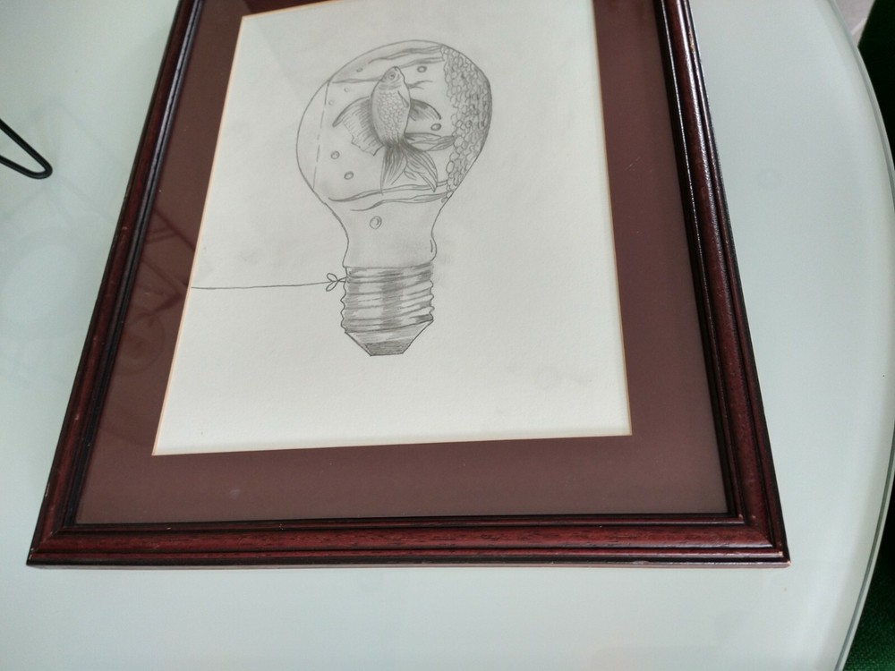 Framed Pencil Sketch Goldfish In A Lightbulb