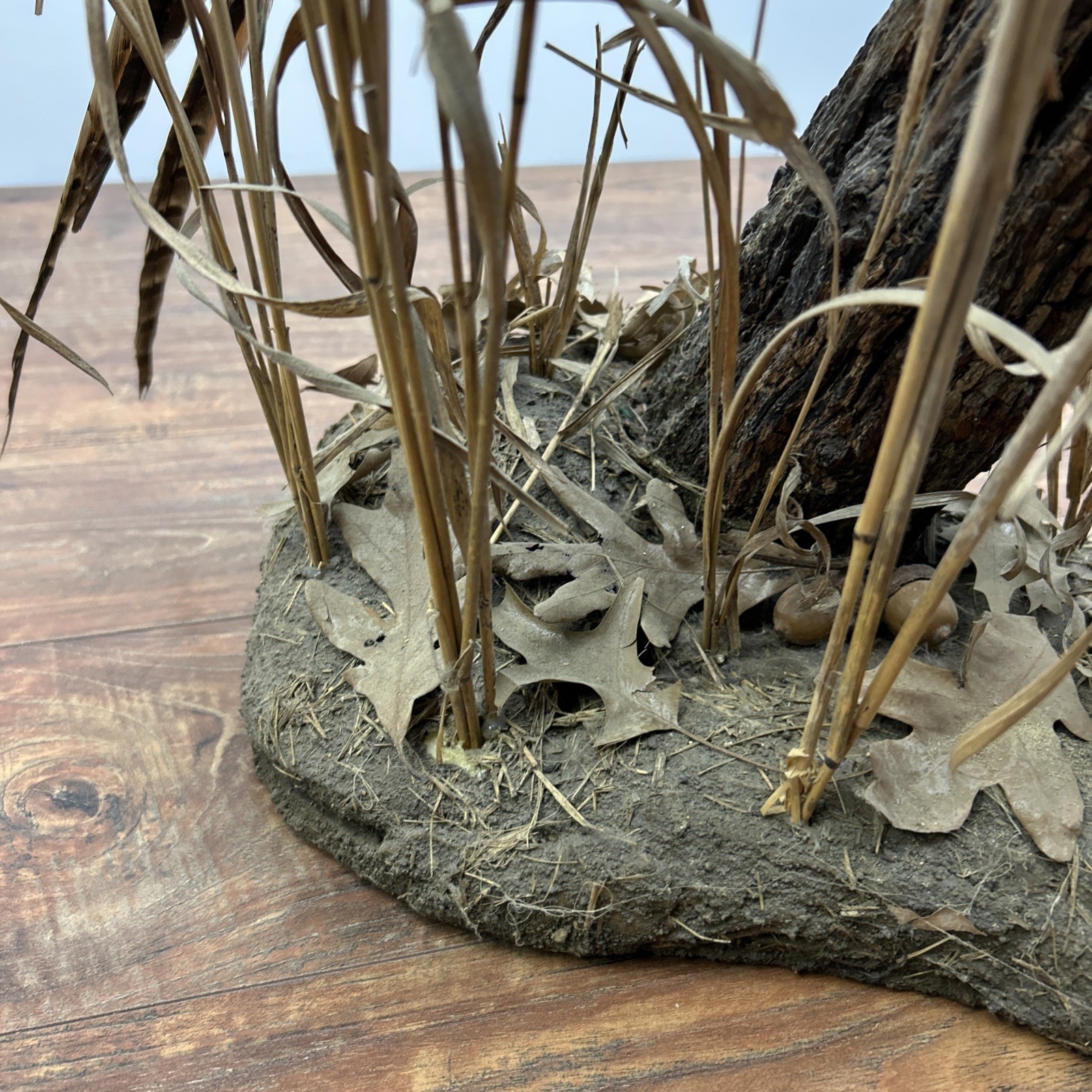 Ringneck Rooster Pheasant Taxidermy Standing Mount Habitat Base Foliage Wood