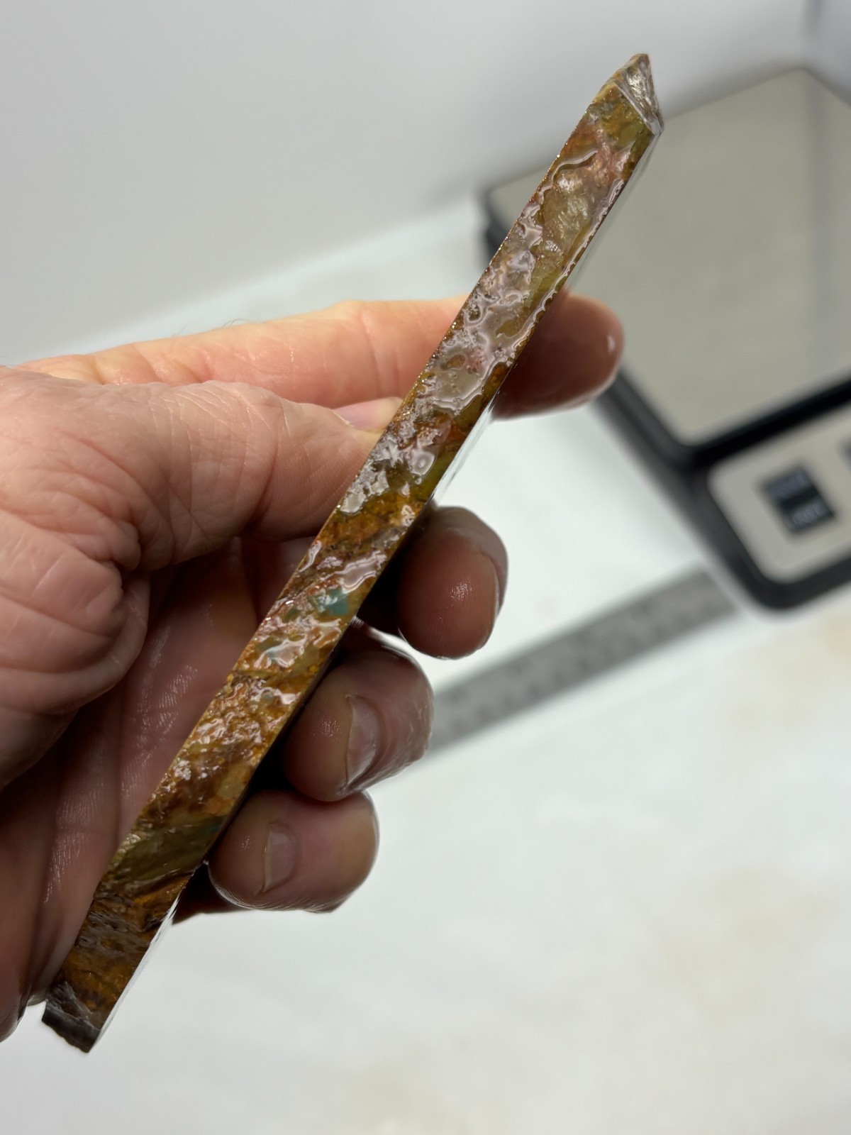 Gary Green Caldera Freedom Jasper Slab Cabbing Lapidary Combo Ship Avail