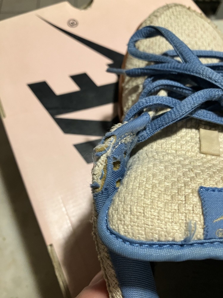 Size 10 nike sb dunk lows blue hemps