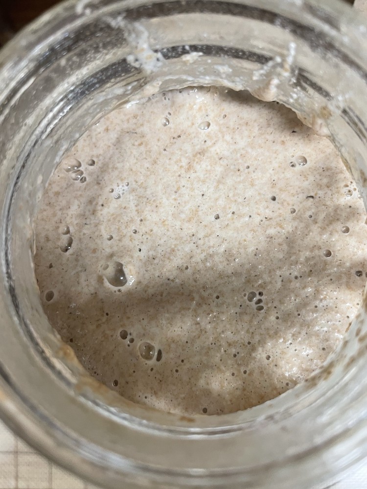 Dehydrated Sourdough Starter