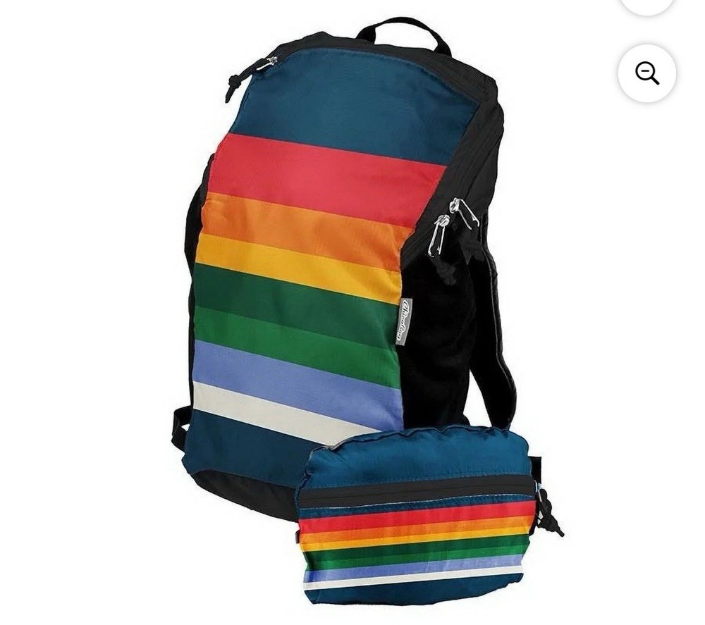 ChicoBag Travel Pack rePETe Compact Recycled Backpack - Retro