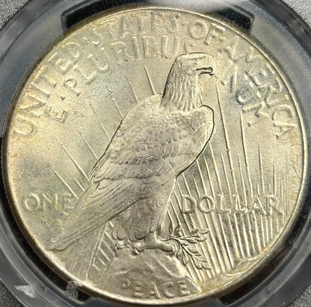 1925 PCGS MS66 Silver Peace $1 - Toned