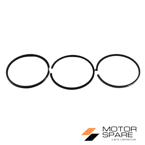 RUGGERINI RD80 RD81 RF80 RF81 ENGINE SEGMENT SERIES FIRST INCREASE D=80.50m